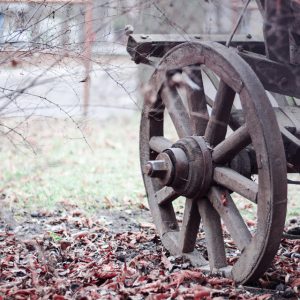 brown wooden wheel on an old cart with fallen leaves around it on the ground.